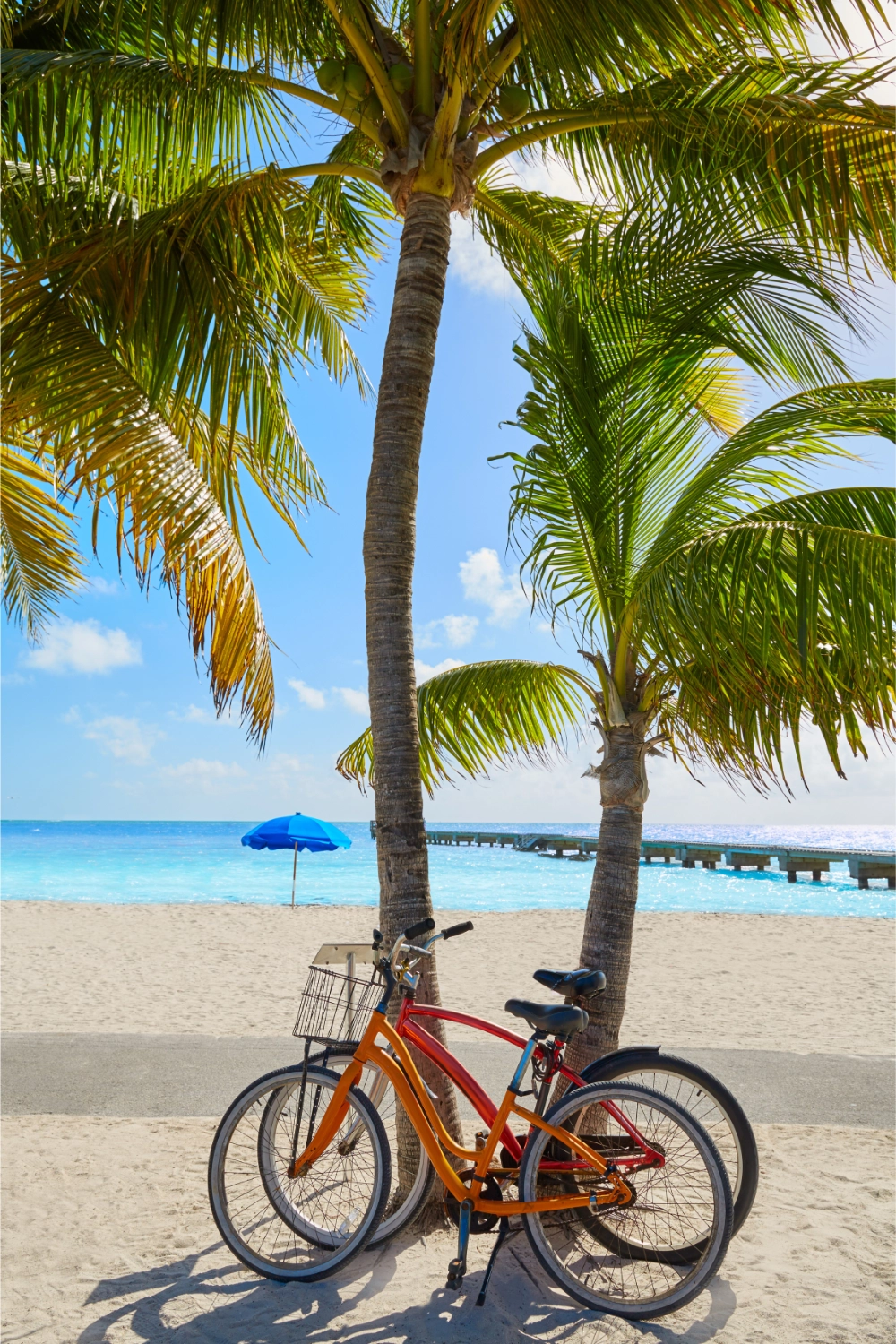 Bikes on the Naples Florida beach